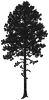 red pine icon